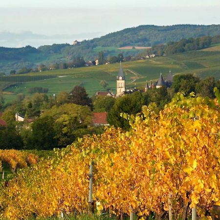 Gite Le Douglas, Vignoble Et Reculees Du Jura - Avec Sauna Lavigny Ngoại thất bức ảnh