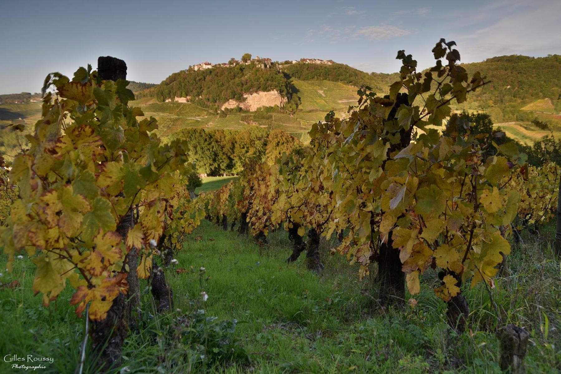 Gite Le Douglas, Vignoble Et Reculees Du Jura - Avec Sauna Lavigny Ngoại thất bức ảnh