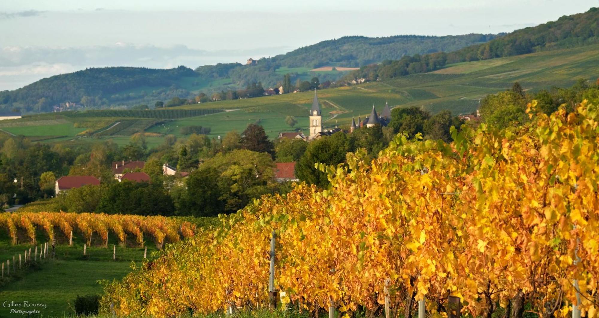 Gite Le Douglas, Vignoble Et Reculees Du Jura - Avec Sauna Lavigny Ngoại thất bức ảnh